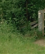 Filename=105.jpg
Filesize=116KiB
Dimensions=704x396
Date added=Jun 23, 2023 105.jpg