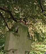 Filename=183.jpg
Filesize=138KiB
Dimensions=704x396
Date added=Jun 23, 2023 183.jpg
