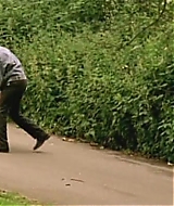 195.jpg