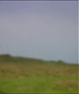 1312.jpg