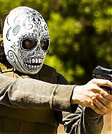 393.jpg
