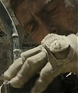 1075.jpg