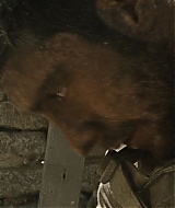 1081.jpg