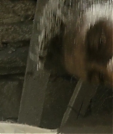1086.jpg