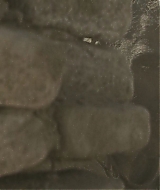 1146.jpg