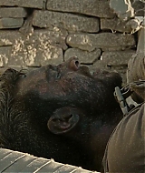 1166.jpg