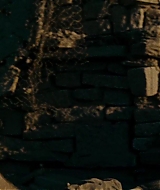 1449.jpg