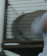 1035.jpg