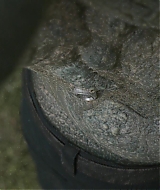 Filename=1684.jpg
Filesize=370KiB
Dimensions=1920x800
Date added=Jan 27, 2025 1684.jpg