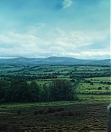 155.jpg