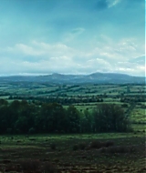 163.jpg
