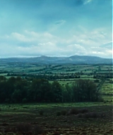 164.jpg