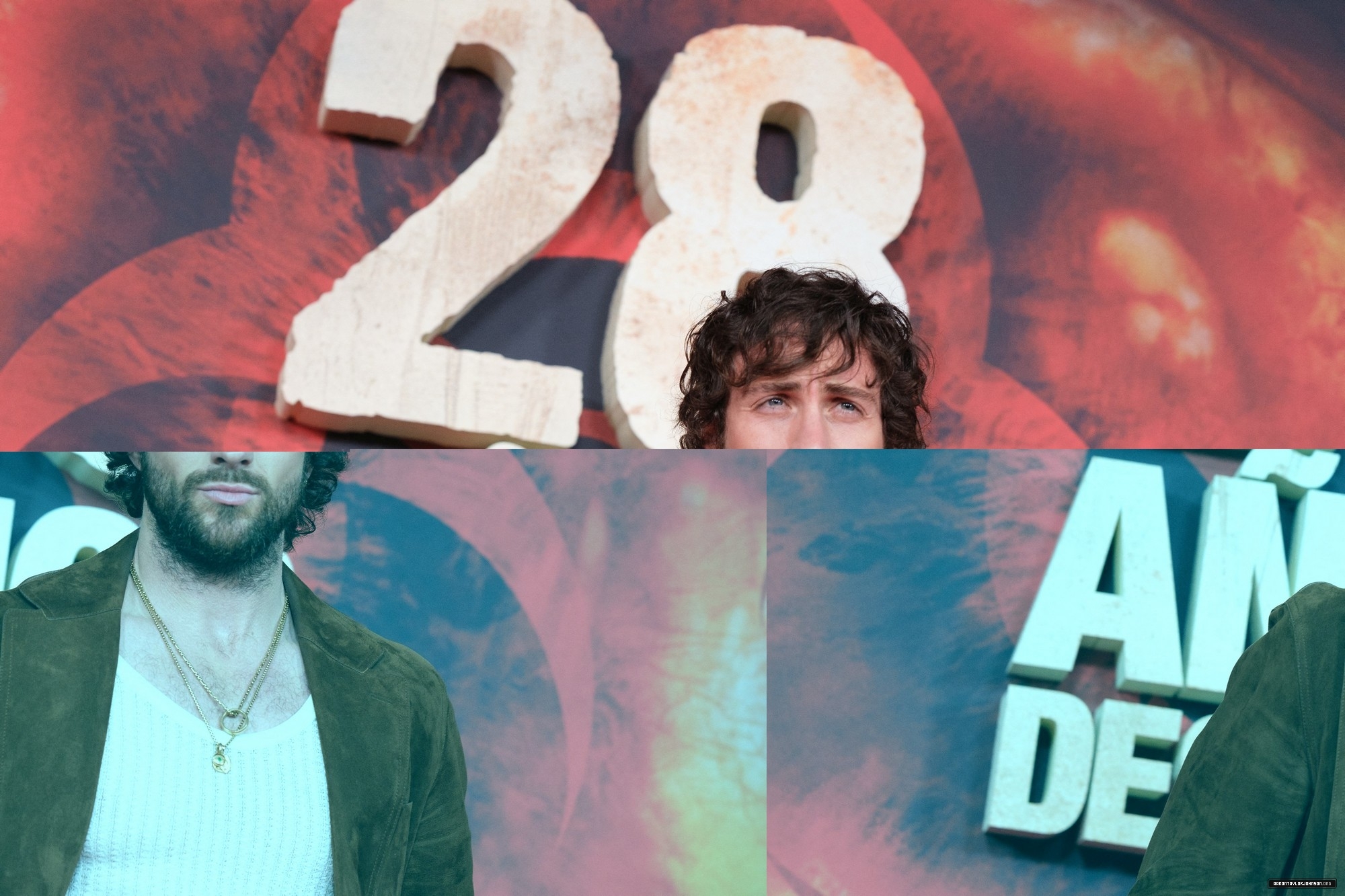 272.jpg