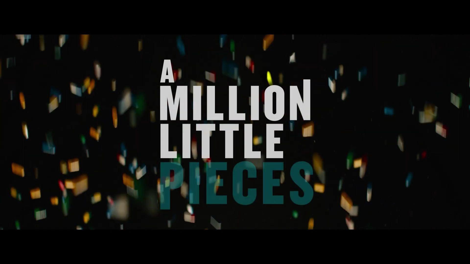 MillionLittlePieces-Trailer1_076.jpg