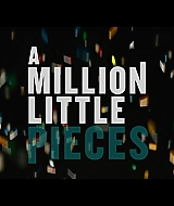 MillionLittlePieces-Trailer1_076.jpg