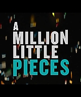 MillionLittlePieces-Trailer1_077.jpg