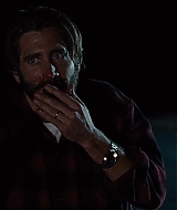 NocturnalAnimals_290.jpg