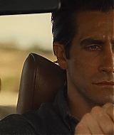 NocturnalAnimals_417.jpg