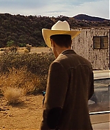 NocturnalAnimals_480.jpg